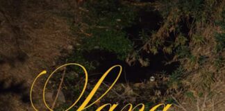 ,Diamond Boy - SZACry Baby - SZA, Joni - SZA ft. Don Toliver,PSA - SZA