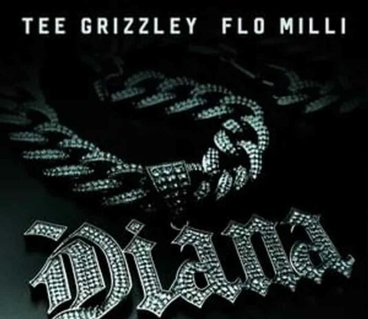Diana (Remix) – Tee Grizzley ft. Flo Milli Diana (Remix) - Tee Grizzley ft. Flo Milli