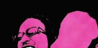Pink Dreads - DDG, PlaqueBoyMax