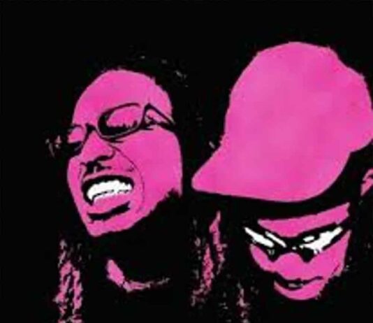 Pink Dreads - DDG, PlaqueBoyMax