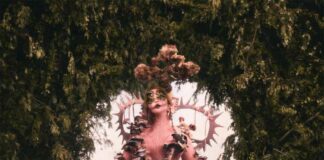 LEECHES - Melanie Martinez