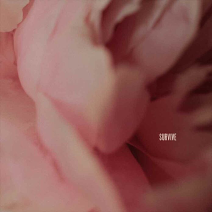 Survive - Lewis Capaldi