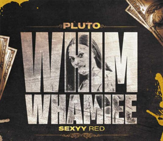 WHIM WHAMIEE (Remix) - PLUTO, Sexyy Red