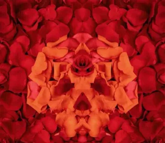 Amnesia – Yelawolf & J. Michael Phillips Amnesia - Yelawolf & J. Michael Phillips