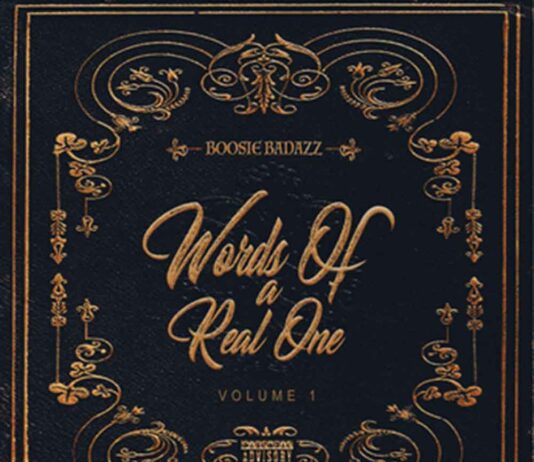 Hustle - Boosie Badazz