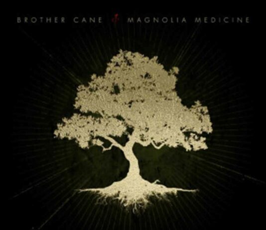 If This Means War – Brother Cane If This Means War - Brother Cane