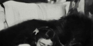 White Feather Hawk Tail Deer Hunter - Lana Del Rey