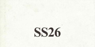 SS26 - Charli xcx