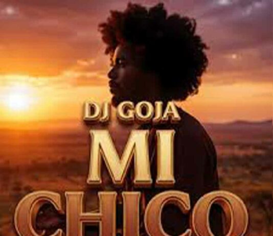 Mi Chico - Dj Goja, Jason Derulo, Melody