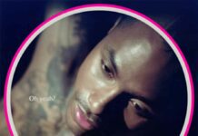 the feeling – Steve Lacy the feeling - Steve Lacy