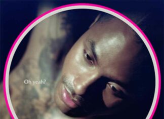 the feeling – Steve Lacy the feeling - Steve Lacy